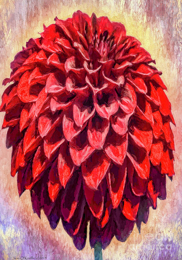 Nature Digital Art - Red Dahlia by Jean OKeeffe Macro Abundance Art