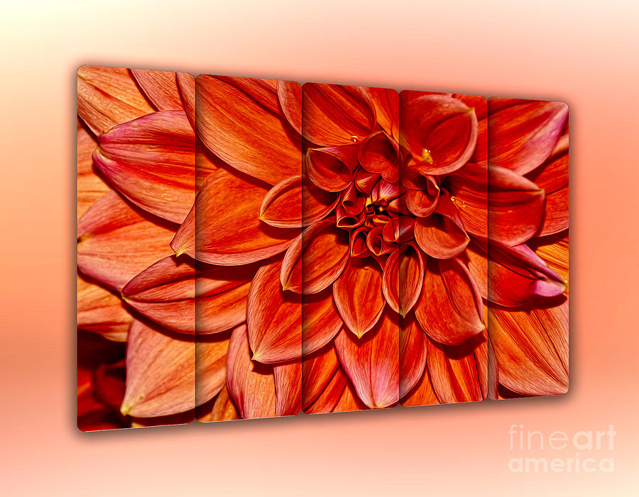 Pattern Photograph - Red Dahlia - Panel Art by Kaye Menner by Kaye Menner