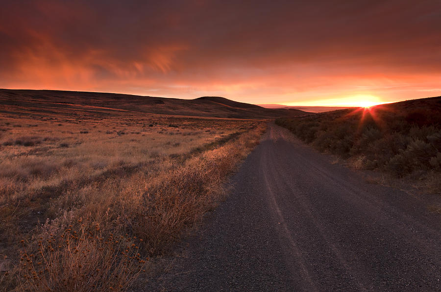 Desert Photograph - Red Dawn by Michael Dawson