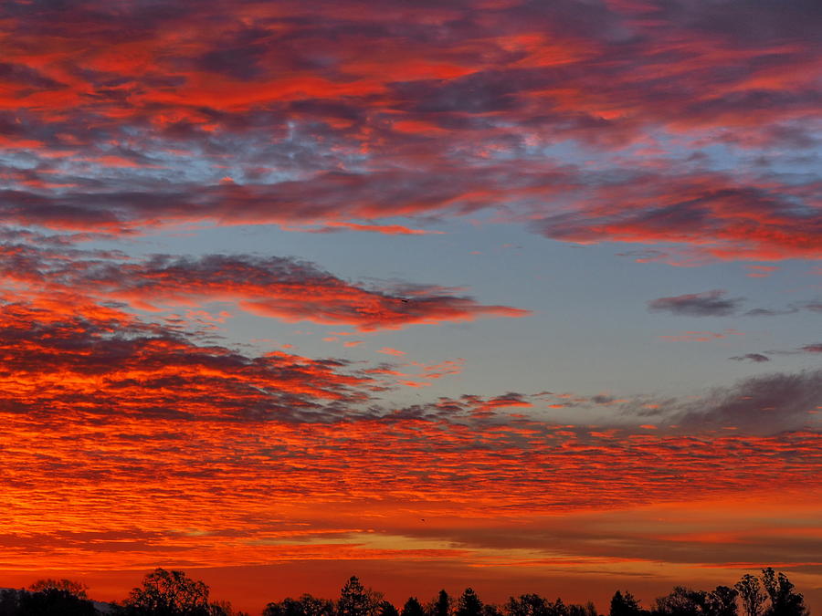 Red Dawn over Sonoma County Photograph by Richard Thomas