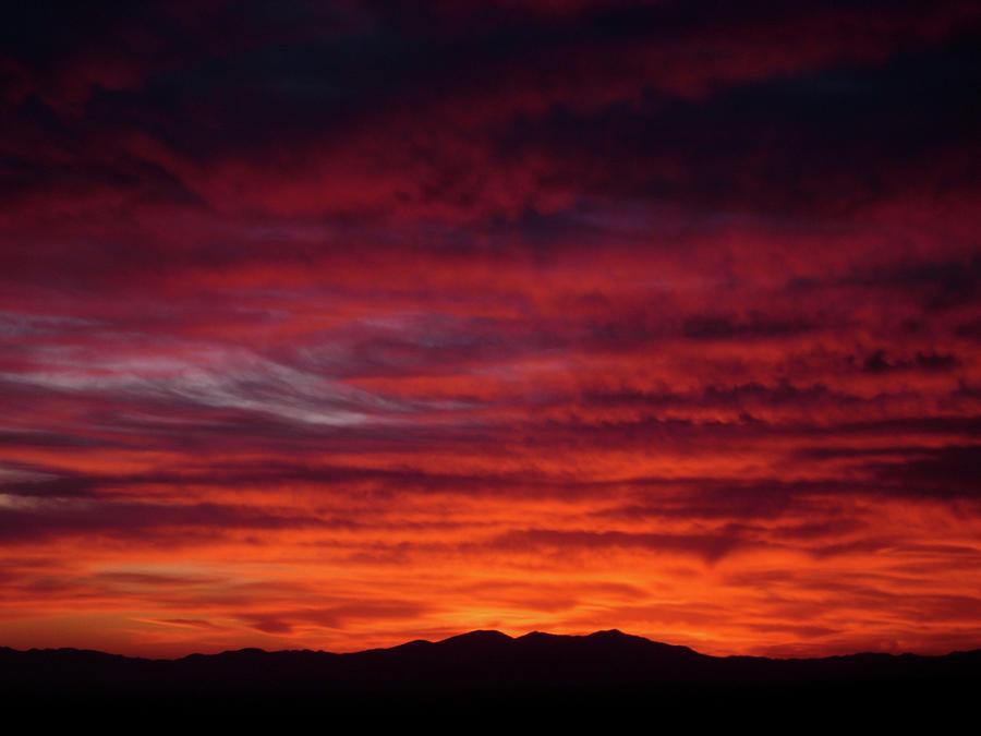 Red Dawn Photograph by TM Schultze
