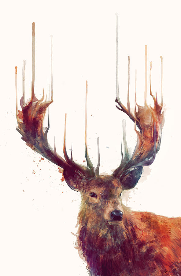 Deer Painting - Red Deer by Amy Hamilton