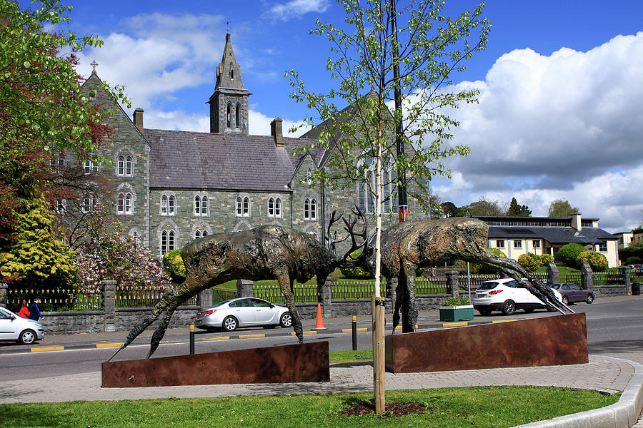 Red Deer Sculpture, Killarney, County Kerry, Ireland Photograph by Aidan Moran