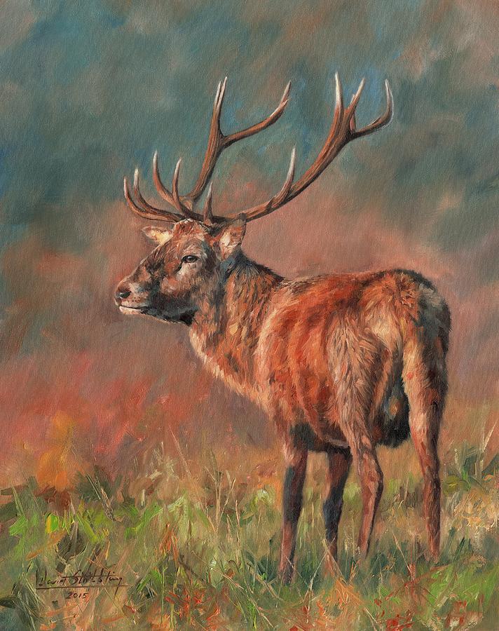 Deer Painting - Red Deer Stag by David Stribbling