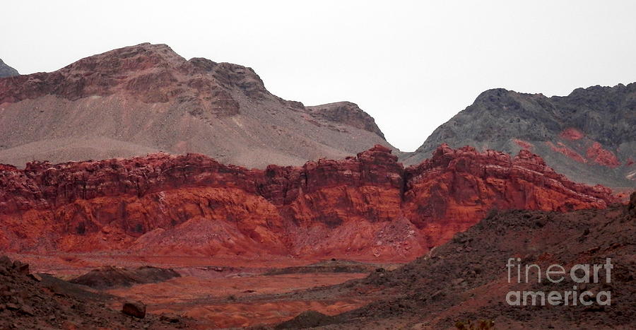 Red desert Photograph by Barbara Leigh Art