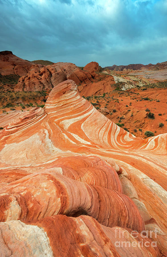  Red Desert Stripes Photograph by Michael Dawson