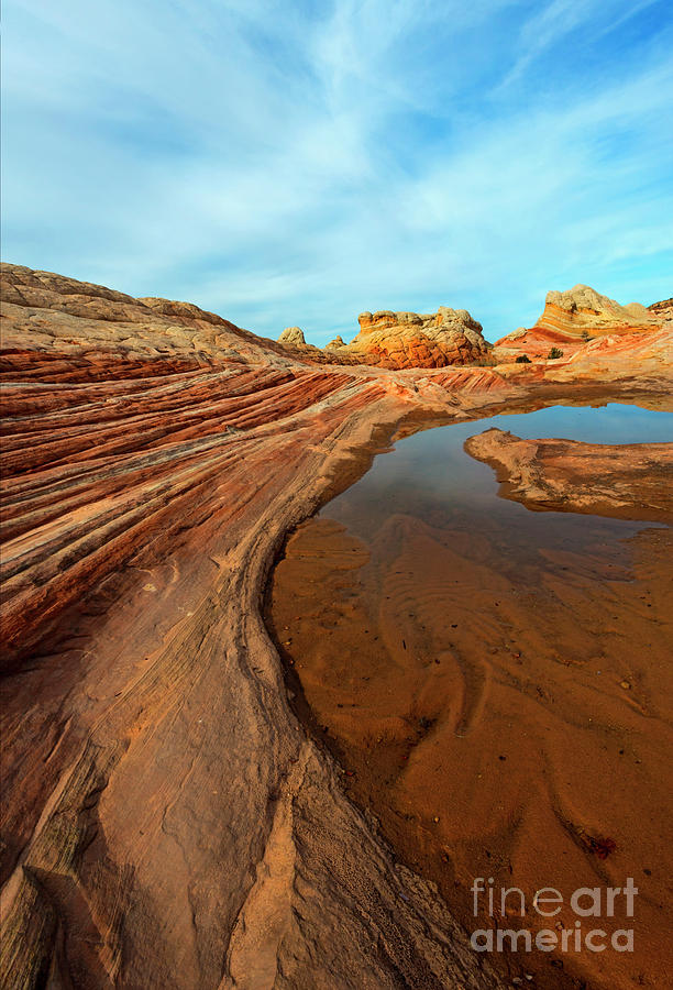 Red Desert Tarn Photograph by Michael Dawson