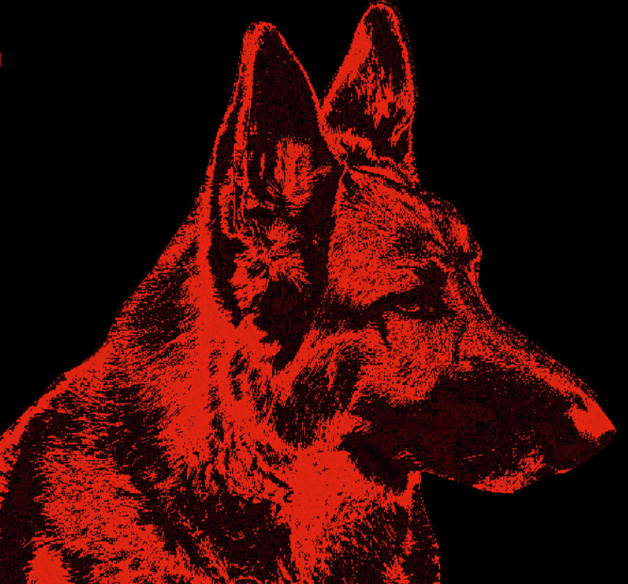 German Shepherd Photograph - Red Dog - German Shepherd by Sandy Keeton