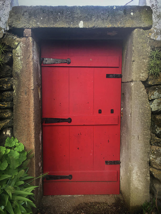 Red Door at the Wine Museum of Biscoitos Photograph by Kelly Hazel