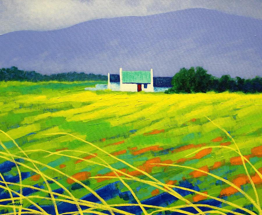 Cottage Painting - Red Door County Wicklow by John  Nolan
