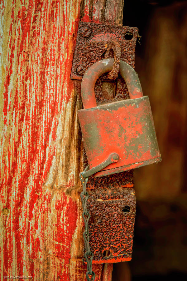 Red Door Lock Photograph by LeeAnn McLaneGoetz McLaneGoetzStudioLLCcom