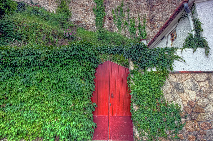 Red Door Photograph by Nadia Sanowar