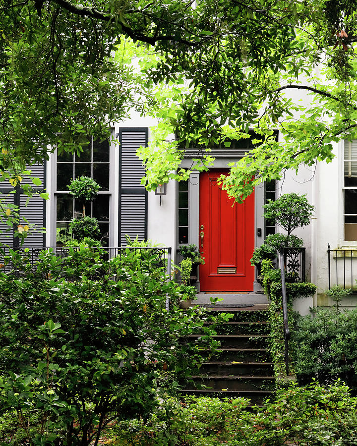 Red Door Photograph by Nicholas Blackwell