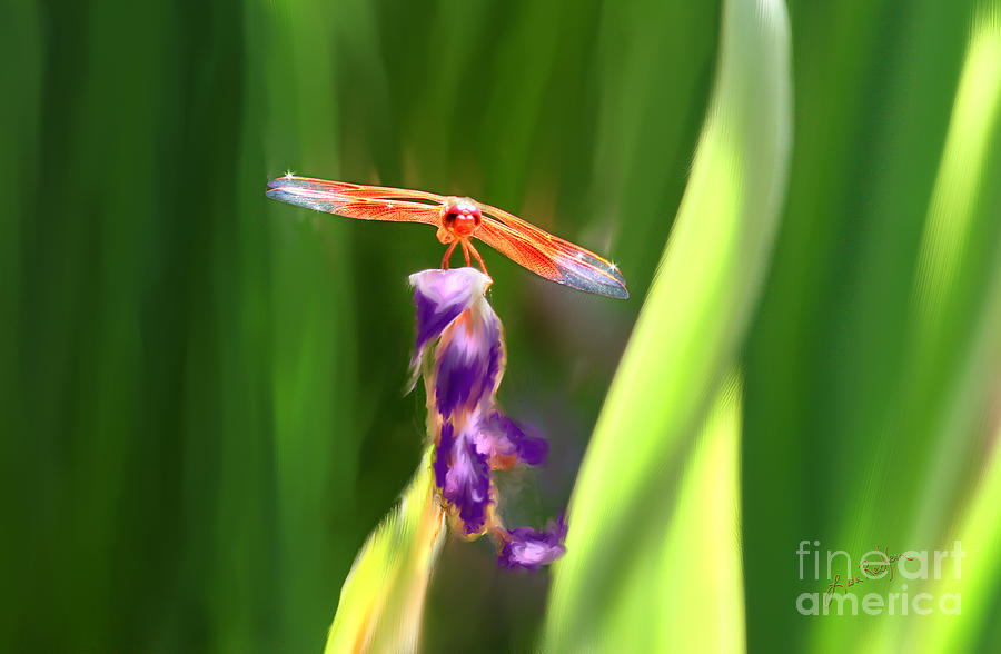 Red Dragonfly on Purple Flower Painting by Lisa Redfern