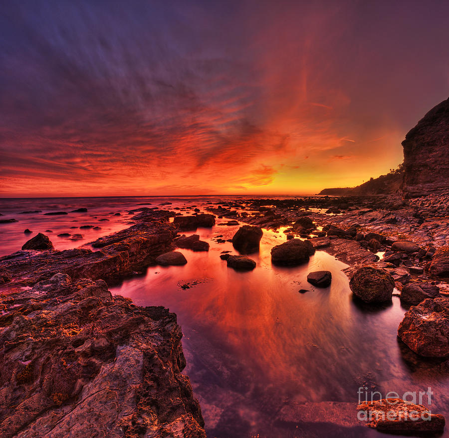 Red Dusk At Royal Palms Photograph By Nick Carlson Fine Art America