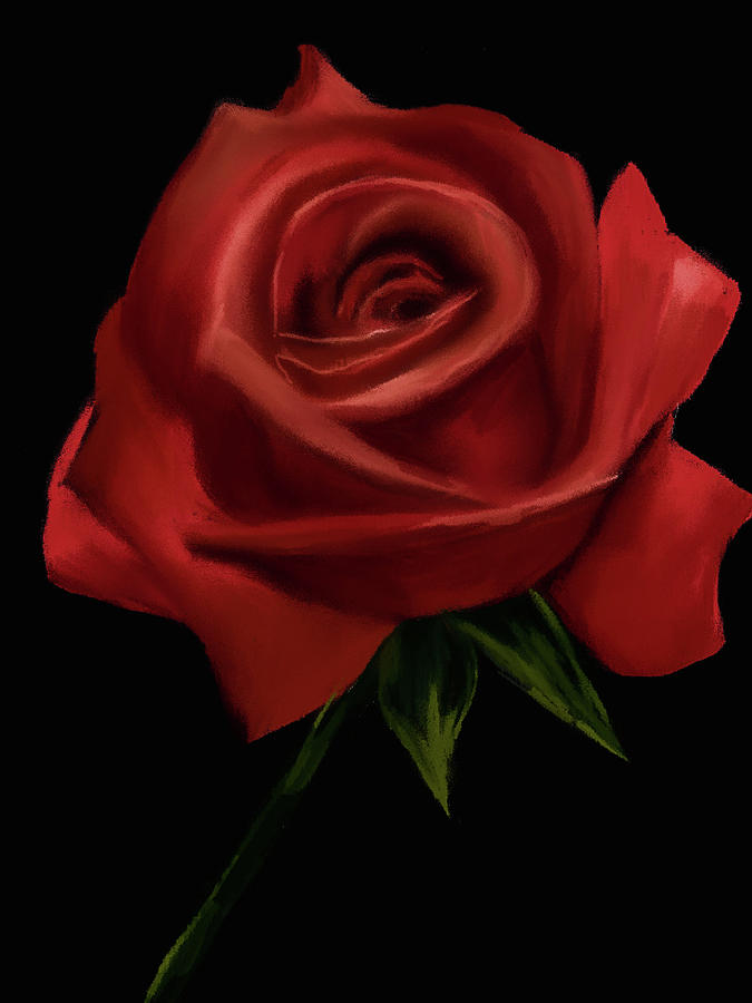  Red English Country Rose Digital Art by Michele Koutris