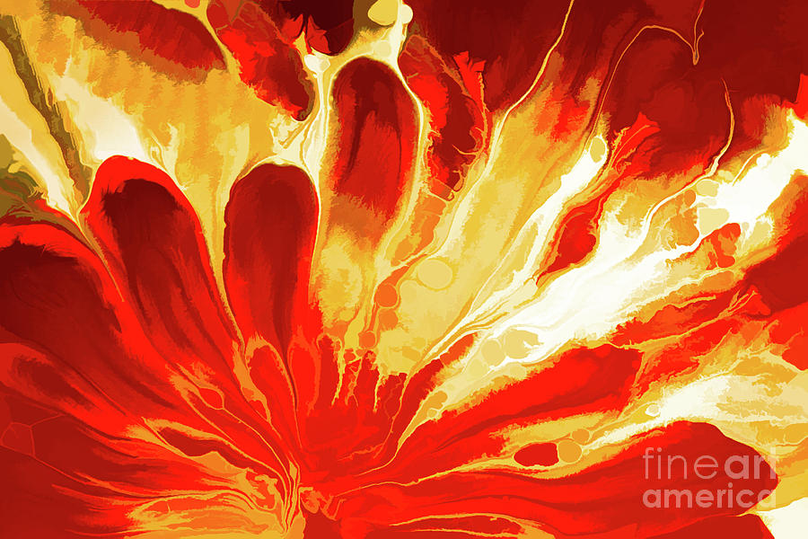 Red Explosion Photograph by Patti Schulze