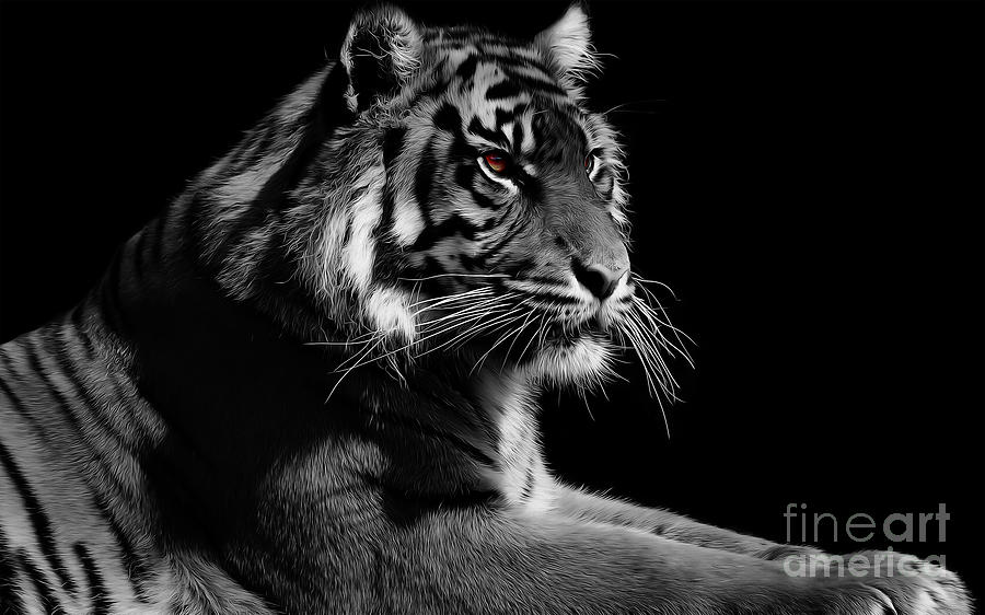 Red Eye Tiger Painting by Gull G