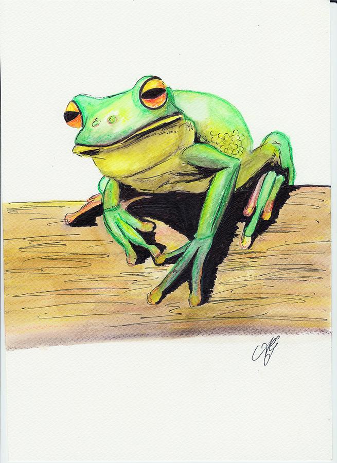 Red eyed tree frog 2 Painting by Anne Gardner