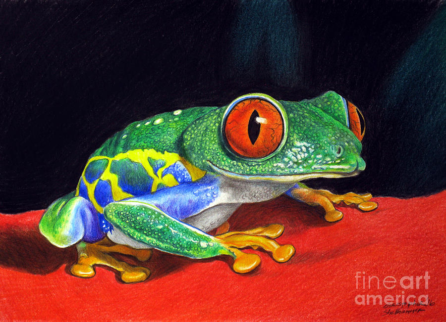Red Eyed Tree Frog Painting by Christopher Shellhammer