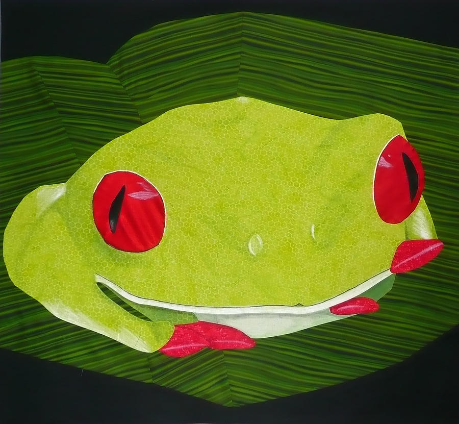 Red Eyed Tree Frog by Jo Baner Red Eyed Tree Frog by Jo Baner