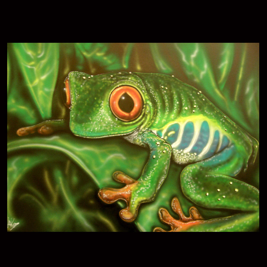 Red Eyed Tree Frog Painting by John Shook