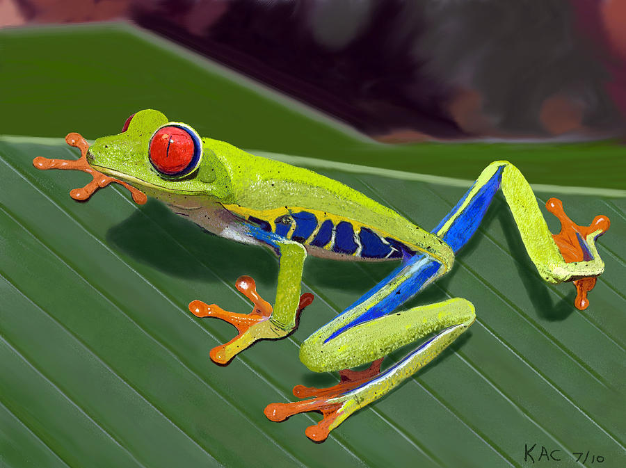 Red-Eyed Tree Frog Painting by Kenny Chaffin