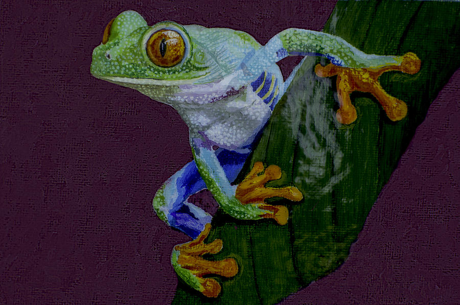 Frog Painting - Red Eyed Tree Frog original oil painting 4x6in by Manuel Lopez