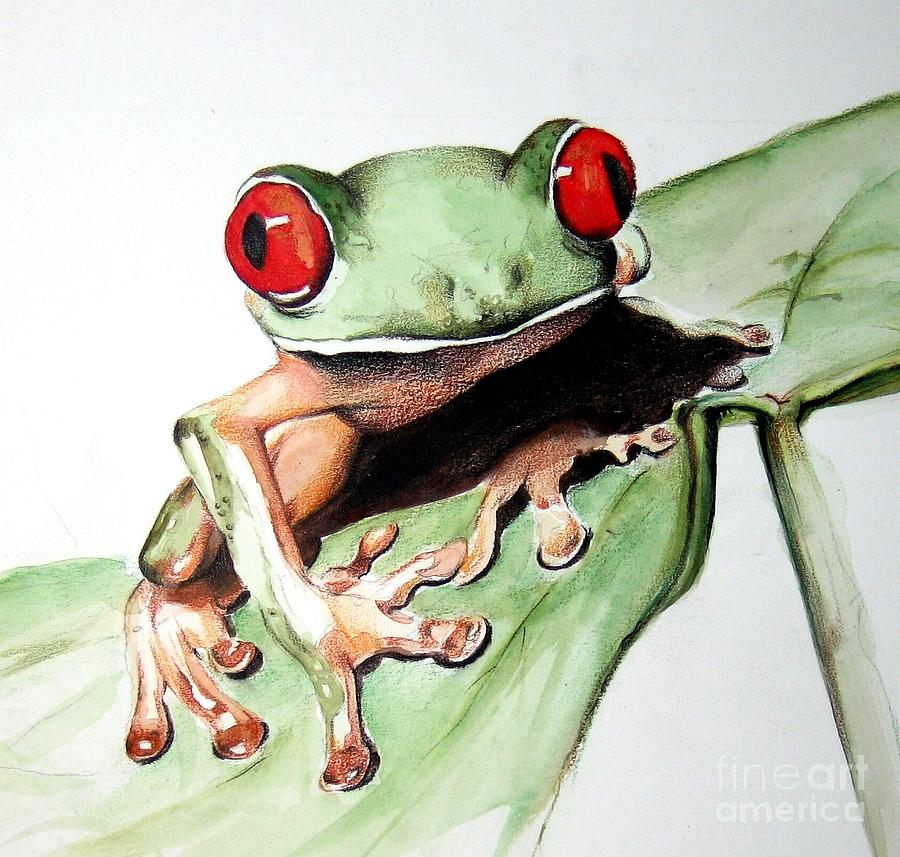 Frog Painting - Red Eyes by Ilaria Andreucci