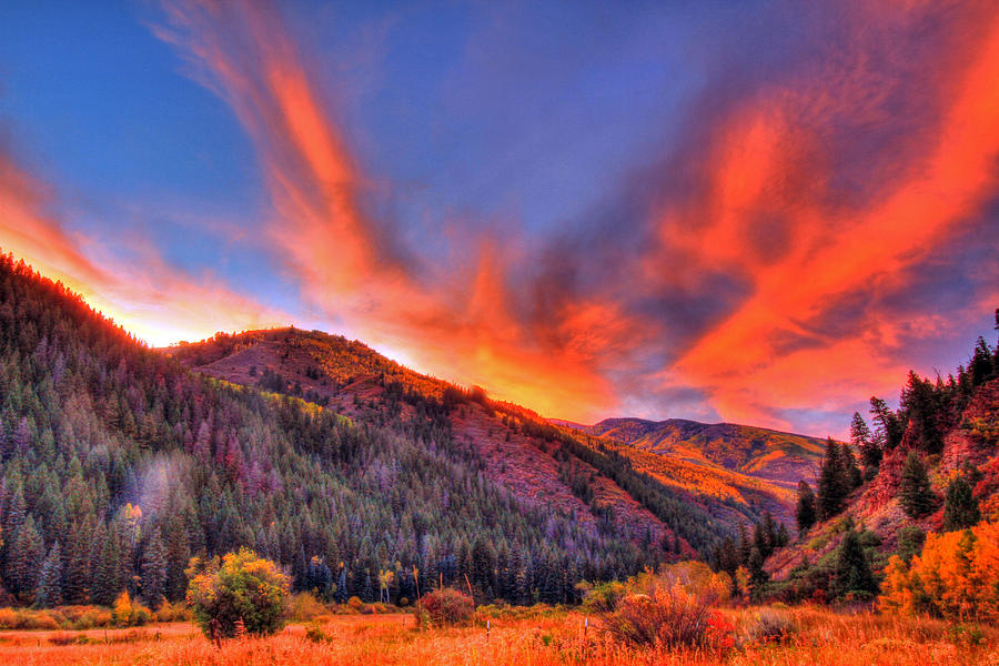 Red Fall Skies Photograph by Scott Mahon