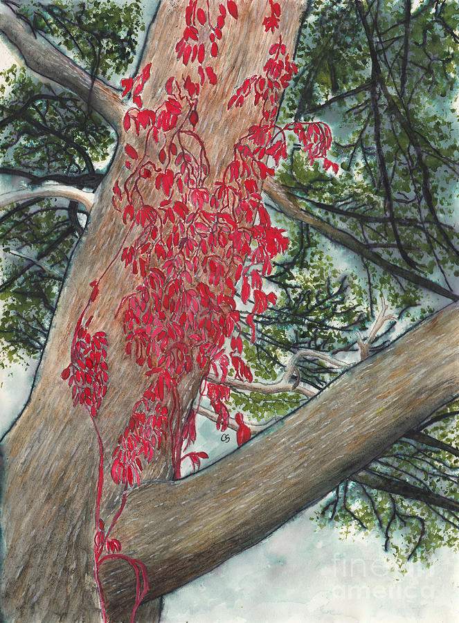Red Fall Vines on Big Old Tree Mixed Media by Conni Schaftenaar