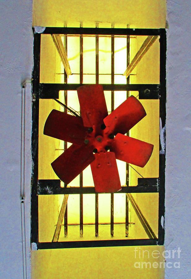 Red Fan Photograph by Randall Weidner