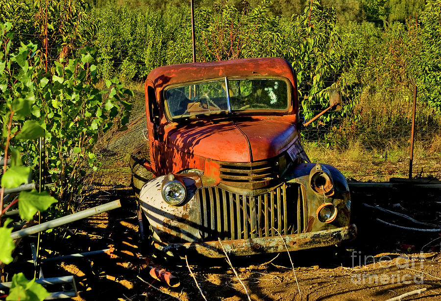 Red Farm Truck Photograph by Carol Clark - Fine Art America