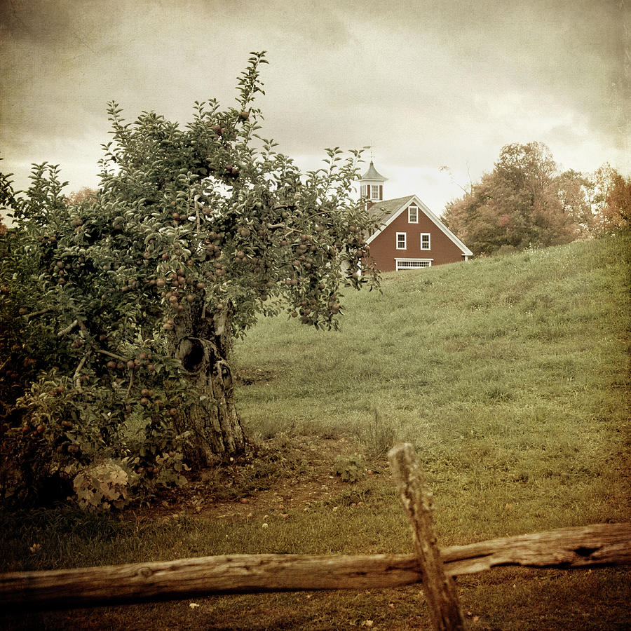 Red Farmhouse on Apple Farm - Vintage Art Photograph by Joann Vitali