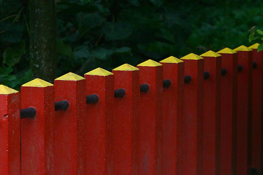 Red Fence Photograph by Lisa Redfern