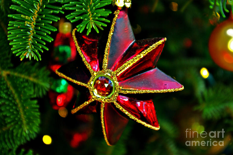 Christmas Photograph - Red Finned Ornament by Rich Walter