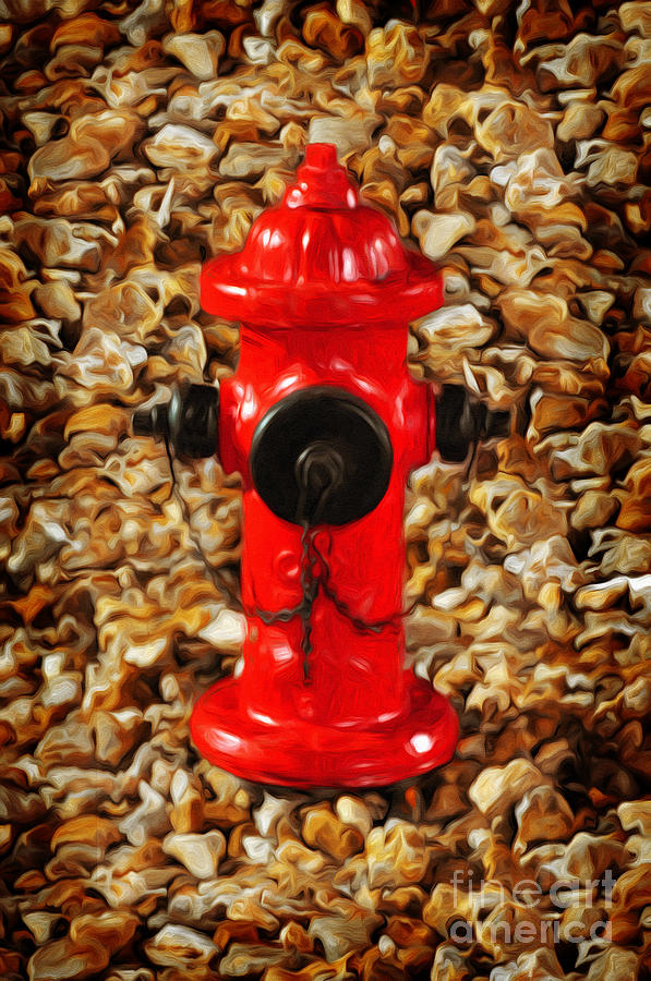 Red Fire Hydrant Photograph by Andee Design