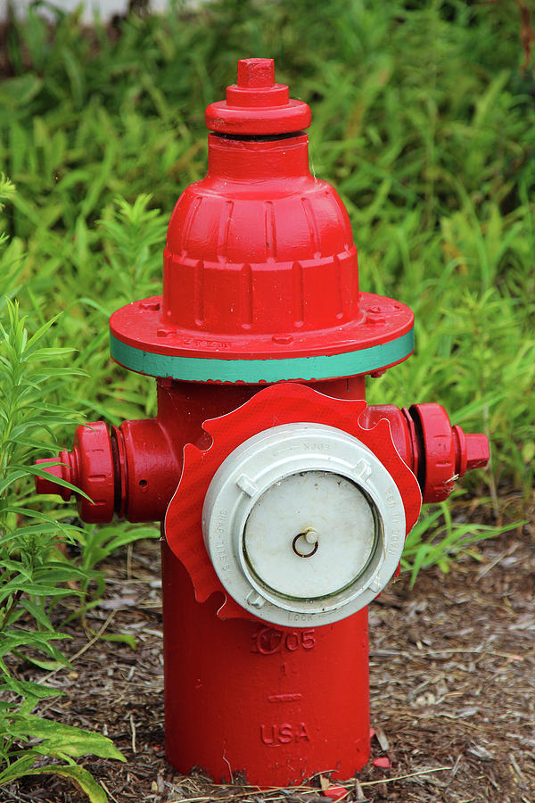 Red Fire Hydrant Photograph by David Stasiak
