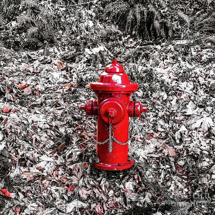 Red Fire Hydrant Photograph by Suzanne Lorenz