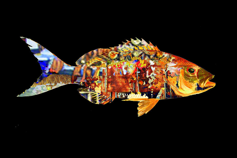 Fish Digital Art - Red Fish  by Marc VanDermeer