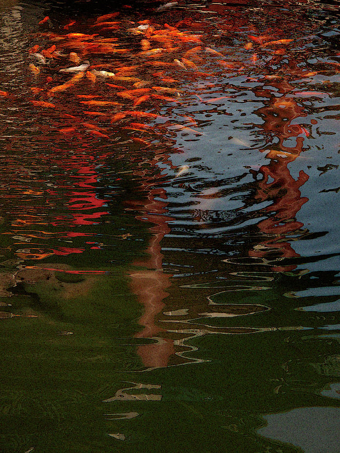 Nature Photograph - Red Fishes in a Pond Pictorial II by Stefania Levi