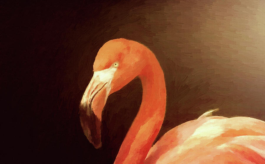 Bird Painting - Red Flamingo by Modern Art