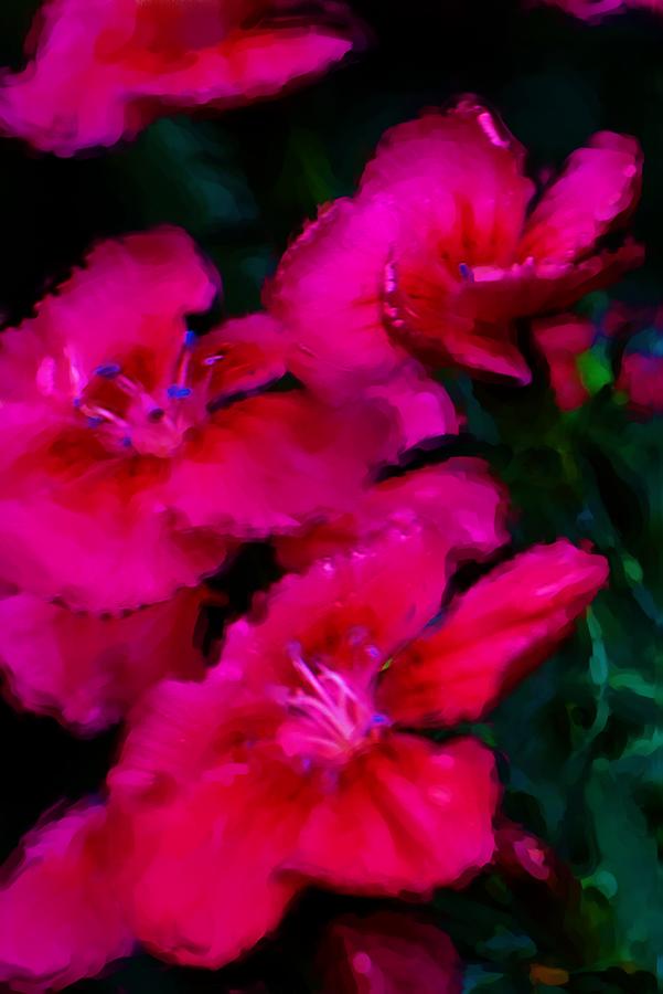Red Floral Study Digital Art by David Lane