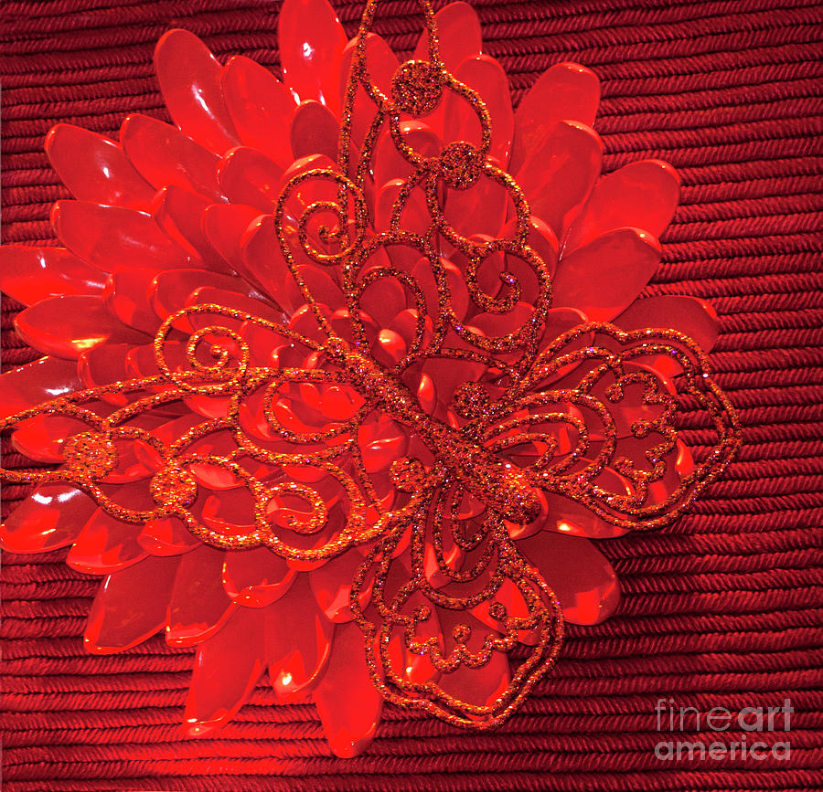 Red Floral Wall Art Photograph by Linda Phelps