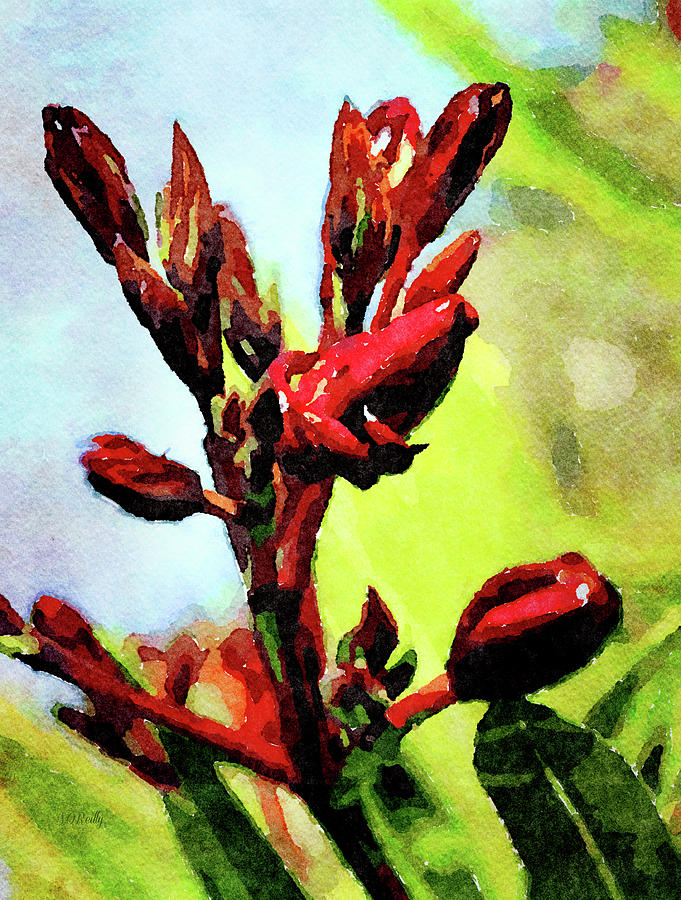 Red Flower Buds Watercolor Digital Art by Sandi OReilly