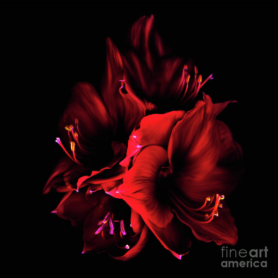 Red Flower Painting by Gull G