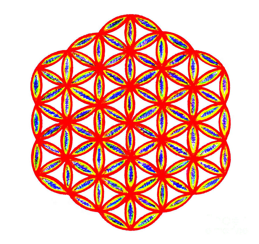 Red Flower of Life Drawing by Chandelle Hazen - Fine Art America