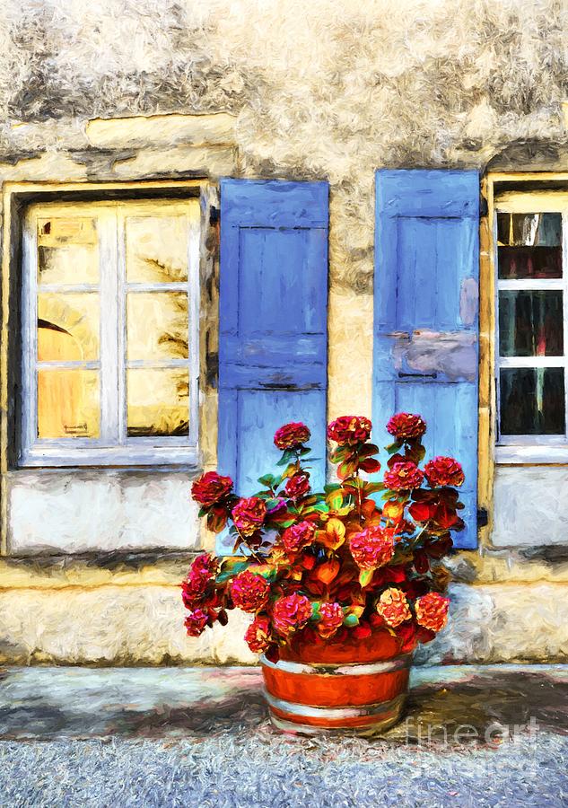 Red Flowers And Blue Shutters Photograph by Mel Steinhauer