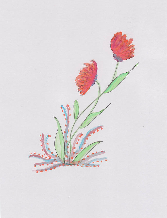 Red Flowers Hand Drawn Drawing by Rosalie Scanlon