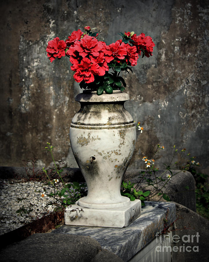 Red Flowers In Vase Photograph by Perry Webster